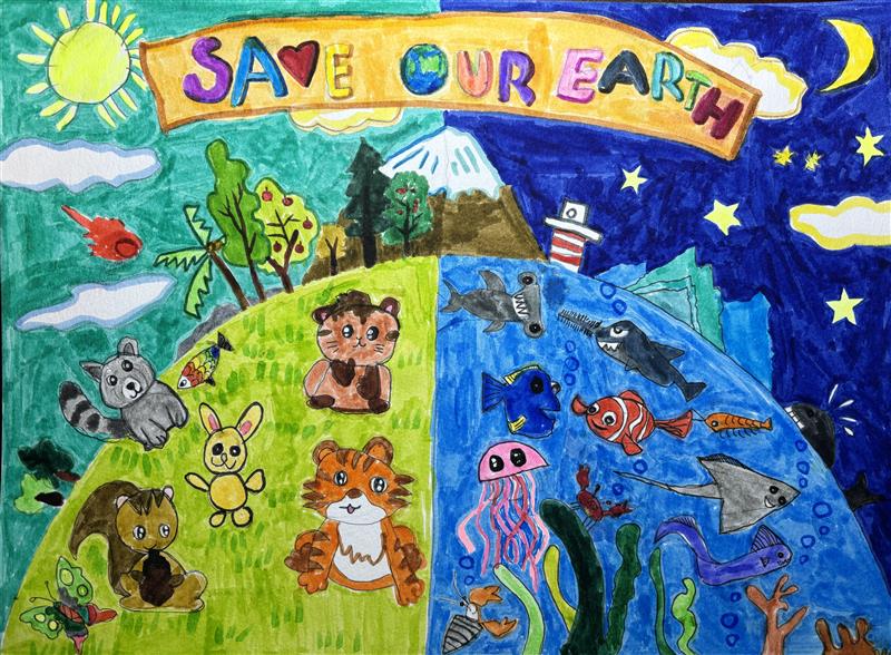 Save Our Animal Planet 拯救动物星球